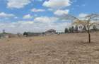 4 ac Residential Land at Acacia - 1