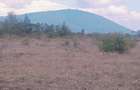 Residential Land in Juja Farm - 8