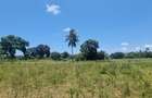 6 ac Land at Mtepeni - 4