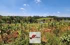 25 ac Land in Kitisuru - 9