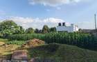 Land at Tigoni - 14