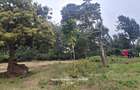 Residential Land in Ngong - 9