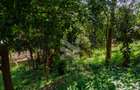 1 ac Land in Muthaiga - 3