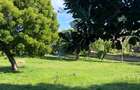 2 ac Land at Kilifi Bofa Beach - 13