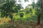0.25 ac Land at Gikambura - 3