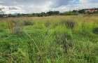 0.4 ha Land at Masai Lodge - 8