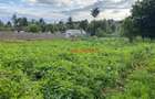 4,000 m² Land in Limuru - 1