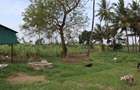 20 ac Land in Kikambala - 8