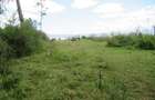 25 ac Land at Moi S Lake Rd - 6