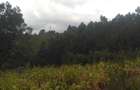 0.125 ac Residential Land in Ngong - 8