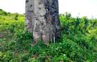 506 m² Land at Mavueni - Mariakani Bypass - 11
