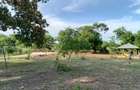 Residential Land in Nyali Area - 14