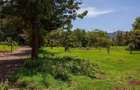 Land in Ngong - 7