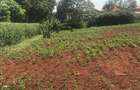 1,200 m² Land at Kiukenda Mugumo Kiambu - 5