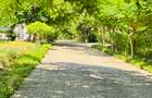 3 Bed House with En Suite at Awali Vipingo - 2