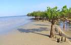 4,047 m² Land at Funzi Island Beach - 3