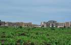 Land in Vipingo - 4