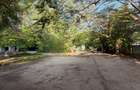 Commercial Land in Diani - 14