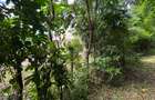 Land in Vipingo - 12