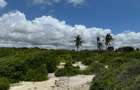 10 ac Land at Diani - 7
