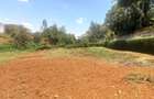 0.5 ac Residential Land at Muthithi - 8