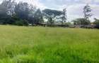 Land at Windy Ridge - 1