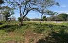 7 ac Commercial Land at Shanzu Beach - Overlooking Mtwapa Creek - 15