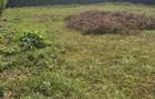 Residential Land in Muthaiga - 3