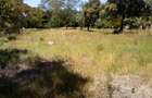 Residential Land at Off Forest Edge Rd - 7