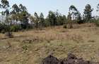 Residential Land at Merisho Road - 8