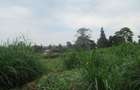 Land at Red Hill - 13