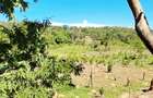 Land at Msambweni - 9