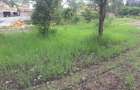 0.25 m² Land in Ongata Rongai - 10