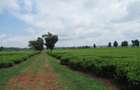 Land in Kiambu Town - 11