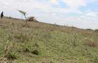 0.25 ac Residential Land at Nanyuki Rumuruti Road - 5