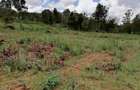 0.05 ha Land in Kikuyu Town - 8