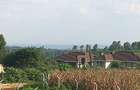 1 ac Land in Tigoni - 3