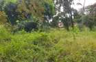 0.25 ac Land at Runda Paradise - 2