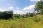 1,110 m² Residential Land at Kamuyu Drive - 10