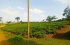 4.8 ac Land in Limuru - 2