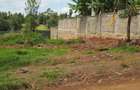 0.5 ac Land in Thome - 5