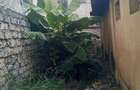 Land at Bamburi - 10