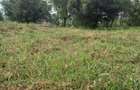 0.5 ac Land in Runda - 9