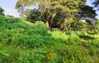 Residential Land at Karen - 7