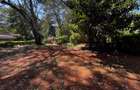 2.7 ac Land in Karen - 2
