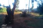 Residential Land in Ndeiya - 4