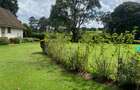 4 Bed House with En Suite at Tigoni - 20