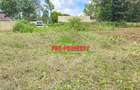 0.05 ha Residential Land at Lusigetti - 4