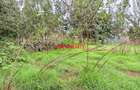 0.05 ha Commercial Land in Kikuyu Town - 3