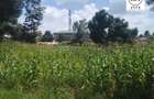 0.25 ac Land at Mwimuto - 6